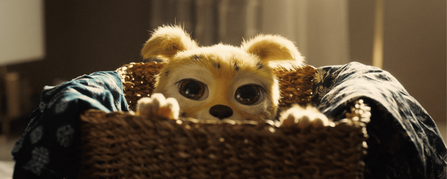 Марсупилами. Пушистый круиз